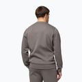 Мъжки суитшърт Pitbull Dogwood Crewneck Sweatshirt taupe 3