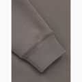 Мъжки суитшърт Pitbull Dogwood Crewneck Sweatshirt taupe 10