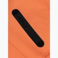 Мъжки суитшърт Pitbull Dogwood Hooded Sweatshirt fluo orange 7