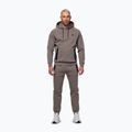 Мъжки суитшърт Pitbull Dogwood Hooded Sweatshirt taupe 2