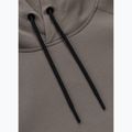 Мъжки суитшърт Pitbull Dogwood Hooded Sweatshirt taupe 6