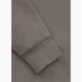 Мъжки суитшърт Pitbull Dogwood Hooded Sweatshirt taupe 10