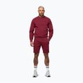 Мъжки суитшърт Pitbull Sampson Crewneck Sweatshirt burgundy 2