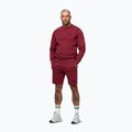 Мъжки суитшърт Pitbull Sampson Crewneck Sweatshirt burgundy 4