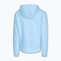 Мъжки суитшърт Pitbull Sampson Hooded Sweatshirt sky blue 6
