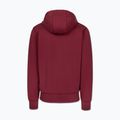 Мъжки суитшърт Pitbull Sampson Hooded Zip Sweatshirt burgundy 6