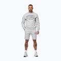 Мъжки суитшърт Pitbull Badger Crewneck grey/melange 2