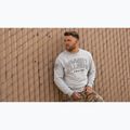 Мъжки суитшърт Pitbull Badger Crewneck grey/melange 12