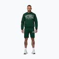Мъжки суитшърт Pitbull Badger Crewneck hunter/green 2