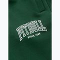 Мъжки панталони за бягане Pitbull Badger Track hunter green 9
