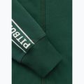 Мъжки суитшърт Pitbull Nexus Track Jacket bottle green 10