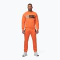 Мъжки суитшърт Pitbull USA Crewneck Sweatshirt fluo orange 2