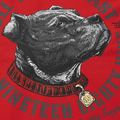 Мъжки суитшърт Pitbull Strenght & Respect Sweatshirt Hooded red 9