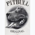 Мъжки суитшърт Pitbull Midnight Sweatshirt Hooded off white 9