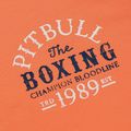 Мъжки суитшърт Pitbull Bloodline 2 Sweatshirt Hooded fluo orange 8