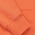 Мъжки суитшърт Pitbull Bloodline 2 Sweatshirt Hooded fluo orange 11