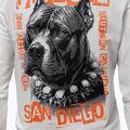 Мъжки суитшърт Pitbull Blacky Sweatshirt Zip Hooded off white 4