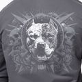 Мъжки суитшърт Pitbull World Sweatshirt Zip Hooded graphite 5
