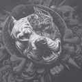 Мъжки суитшърт Pitbull World Sweatshirt Zip Hooded graphite 11