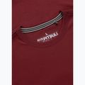 Мъжка тениска Pitbull Dog SD burgundy 6