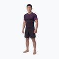 Мъжки рашгард Pitbull Belt Rashguard purple 2