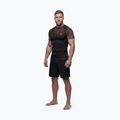 Мъжки рашгард Pitbull Belt Rashguard brown 2