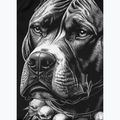 Мъжки рашгард Pitbull Blacky Rashguard black 9
