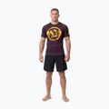 Мъжка тениска Pitbull Rashguard Logo Palms brown 2