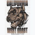 Мъжка тениска Pitbull Best Coast white 11