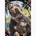 Дамска тениска Pitbull Beach Girl black 11