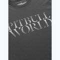 Мъжка тениска Pitbull World graphite 4