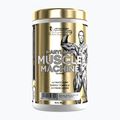 Предтренировъчна добавка Fitness Authority Levrone Gold Maryland Muscle Machine 385 g fruit punch