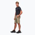 Мъжки шорти за трекинг Alpinus Terminio olive 2