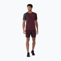 Мъжки къси панталони 4F M290 burgundy