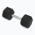 Гумиран дъмбел XTREXO Hex HXD100 10 kg