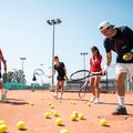 HEAD Tour топки за тенис 4 бр. 6