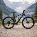ATTABO E-ALPE 2.0 29" електрически велосипед 36V 14.5Ah 504Wh черен 3