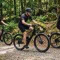 ATTABO E-ALPE 2.0 29" електрически велосипед 36V 14.5Ah 504Wh черен 4