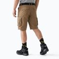 Мъжки къси панталони/шорти KADVA PathGear brown 2