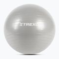 Гимнастическа топка XTREXO TXO-B4Z007-GY 55 cm grey