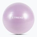 Гимнастическа топка TREXO TXO-B4Z008-VT 65 cm рurple