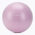 Мини гимнастическа топка TREXO TXO-B4Z011-VT 25 cm purple