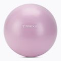 Мини гимнастическа топка XTREXO TXO-B4Z011-VT 25 cm purple