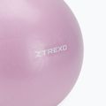 Мини гимнастическа топка TREXO TXO-B4Z011-VT 25 cm purple 2