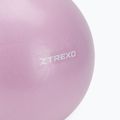 Мини гимнастическа топка XTREXO TXO-B4Z011-VT 25 cm purple 3