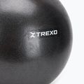 Мини гимнастическа топка TREXO TXO-B4Z011-BK 25 cm black 2