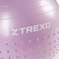 Масажна топка за гимнастика TREXO TXO-B4Z020-VT 55 cm purple 5