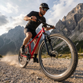 Мъжки планински велосипед ATTABO ALPE 1.0 19“ червен 5