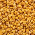 Царевица за риболов Carp Target pineapple + кофа 10 l 5