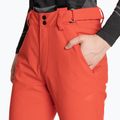 Мъжки скиорски панталони 4F 3
